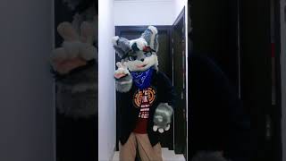 Do anyone remember the ponponpon song？ Lets do the handdance 踊ってみた furrytiktok furry [upl. by Tat]