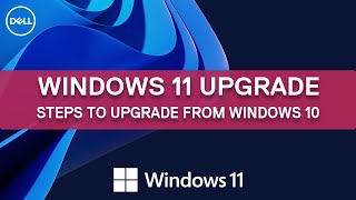 How to upgrade to Windows 11 from Windows 10  Dell Support [upl. by Eimmij]