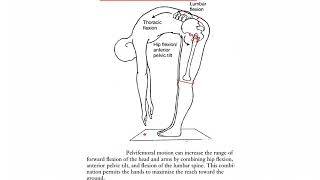 Lumbar Pelvic Rhythm HIP COMPLEX [upl. by Akemrej394]