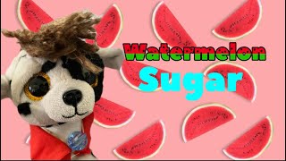 Beanie Boo Watermelon Sugar music video [upl. by Ylatan862]