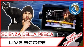 SCIENZA DELLA PESCA Come Funziona il Live Scope o altri Ecoscandaglio [upl. by Knute]