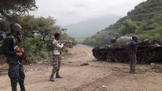 Tigray Defense Forces TDF  ናይ ትግራይ ፍሉይ ሃይሊ ታንኪ ክማርኩ ከለዉ [upl. by Egap923]