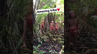 living deep in forest amazing cultureshort tribes [upl. by Ateloj318]