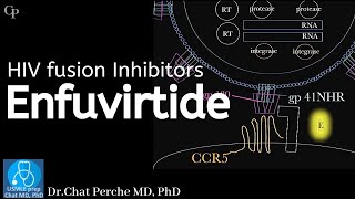 HIV therapy Enfuvirtide Mechanism of action 【USMLE Pharmacology】 [upl. by Leihcim631]