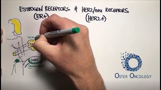 Estrogen Receptors amp HER2neu Receptors in Breast Cancer a TUTORIAL from Oster Oncology [upl. by Annez]