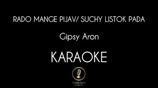 RADO MANGE PIJAV  SUCHY LISTOK PADA  Gipsy Aron  KARAOKE amp TEXT [upl. by Neri677]