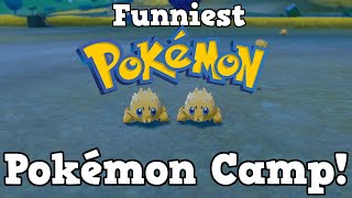 Funniest Pokemon in Pokemon Camp  Pokemon Sword and Shield [upl. by Joey310]