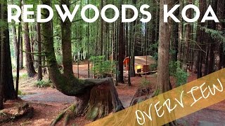 Crescent City Redwoods KOA Campground Overview  Camping near Redwoods National Park [upl. by Persian]