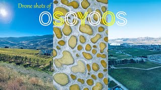 4K Cinematic Drone shots of OSOYOOS  Wine country  Canada BC [upl. by Eilrak]