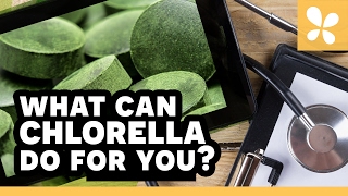 What Can Chlorella Do For You  Ask the ND with Dr Jeremy Wolf [upl. by Eanrahc]