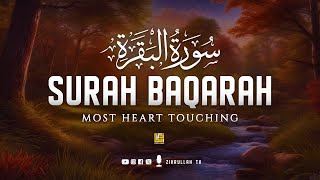 Best Surah Al Baqarah Full سورة البقره  Heart touching recitation  SOFT VOICE  Zikrullah TV [upl. by Coltin54]