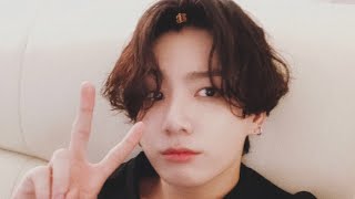 Jungkook wap TikTok [upl. by Guerra214]