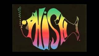 Phish  Tweezer 62400  Lakewood Amphitheatre [upl. by Heintz703]