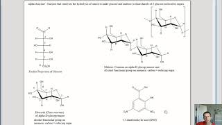 alphaAmylase assay Effects of Enzyme Concentration Temperature and pH [upl. by Nonna]