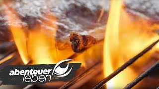 400 Grad  Die ElektrogrillSensation für drinnen und draußen 1  Abenteuer Leben  kabel eins [upl. by Neelia350]