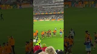 IN THEY COME AUS AUS AUS wallaby’s VS South Africa 2024 please subscribe [upl. by Scotty]