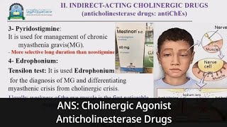 8 ANS Parasympathomimetic Indirect Acting Cholinergic Agonist Anticholinesterase Drugs [upl. by Garcon]