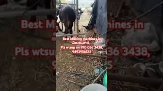 Best Milking machines for cows and Buffaloes in VIJAYAWADA [upl. by Mlohsihc923]