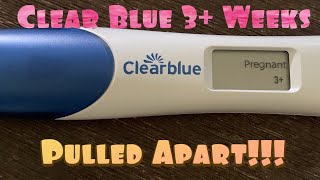 Live 3 Weeks clear blue digital Pregnancy test pulled apart  26DPO [upl. by Tayib]