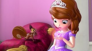 Sofia the First The Amulet of Avalor Movie Explained In HindiUrdu Summarized हिन्दी [upl. by Rogovy]