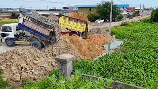 AmazingStart New ProjectLandfilling by Excellent skill Driver Dozer SHANTUI Push Soil Rock amp truck [upl. by Tap]