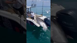 quotMassive Tuna Caught on Rod Epic Fishing Struggle in the SeaFishing Pesca Pêche Angeln Pesca [upl. by Tai]