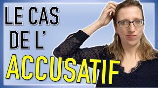 🇩🇪Les déclinaisons en allemand  le cas de lACCUSATIF 🤔 [upl. by Merta]