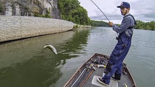 Bass Fishing the Upper Potomac River ft SBFISHINGTV 6 SPECIES CAUGHT [upl. by Hnad589]