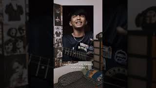 story Dahon na laya reggae🥀 shortvideo cover reaggae storywa sadstatus coversong [upl. by Illom708]