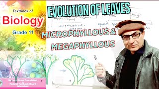 Evolution of Microphyllous and Megaphyllous Leaves biology Urdu Hindi English [upl. by Ebba]