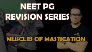 NEET PG MUSCLES OF MASTICATION [upl. by Pravit]