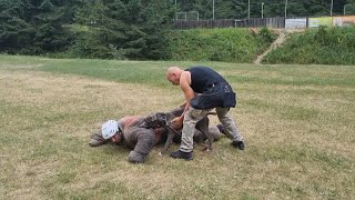 EXTREME PROTECTION DOG TRAINING AMSTAFF PITBULL PABLO APPREHEND ATTACKER AMERICAN STAFFORD GUARD [upl. by Bopp]