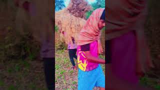 Kheti ka kam chalu hai ba ba bhanje thak gaye 😅 🌾villagefarmingvlogs [upl. by Hilde358]