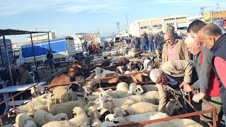 TÜRKİYENİN NABZI BU PAZARDA ATIYOR [upl. by Critta]