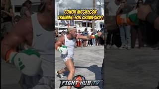 Conor McGregor born different mcgregor boxing ufc [upl. by Perle765]