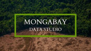 Introducing Mongabay Data Studio [upl. by Joacima176]