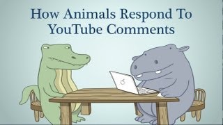 Hippo amp Croc How Animals Respond To YouTube Comments [upl. by Eylk]