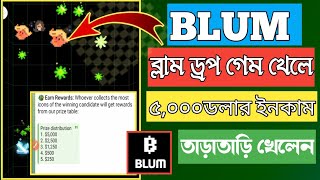 Blum Drop game khele 5000 Hajar Solar incomeব্লাম ড্রপ গেম খেলে 5000 ডলার ইনকাম [upl. by Kabob]