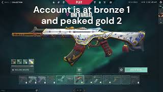 Selling Valorant Account  Featuring Prelude and Prime [upl. by Eseekram202]