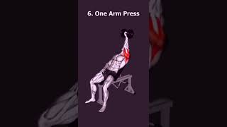 8 Great Dumbell Exercise shorts dumbbellworkout workout exercise shortsfeed [upl. by Essa130]