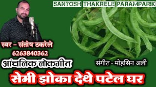 सेमी झोका देथे पटेल घर  Semi Jhoka Lethe Patel Ghar Song  Santosh Thakrele  Balaghati Song [upl. by Anahsit]