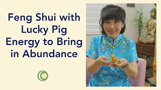 Feng Shui with Pig Energy to Attract Money fengshui fengshuiconsultant moneyfengshui [upl. by Euqinue]