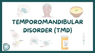 Temporomandibular Disorder TMD and TMJ Anatomy  Dentogenesis [upl. by Weyermann]