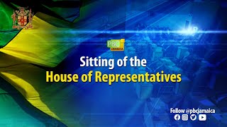 JISTV  Sitting of the House of Representatives [upl. by Aerdnaxela268]