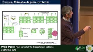 Philip Poole Plant Control of the Rhizosphere Microbiome [upl. by Engleman554]