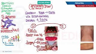 Pediatría  Exantema Escarlatina [upl. by Edecrem]