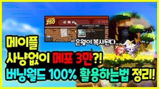 메이플 버닝월드 🔥 3만메포 사냥없이 가능 🧙‍♂️ 버닝월드 효율 100로 ✍활용하는법과 모르면 큰일나는⏰ 주의사항 총정리하기🚀버닝월드 버닝월드 리프 6만 메포 [upl. by Stets889]