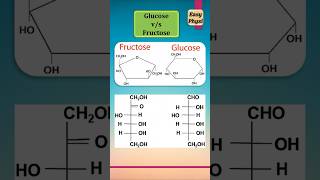 Fructose vs Glucose [upl. by Aubigny]