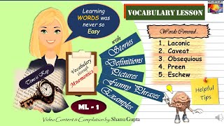 ML1 MnemonicsThe Most Effective Way To Learn And Understand Vocabulary [upl. by Paza362]