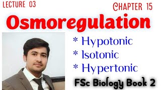 Osmoregulation in different environment  Osmoregulation Class 12 by Irtisams Biology [upl. by Ynnhoj]